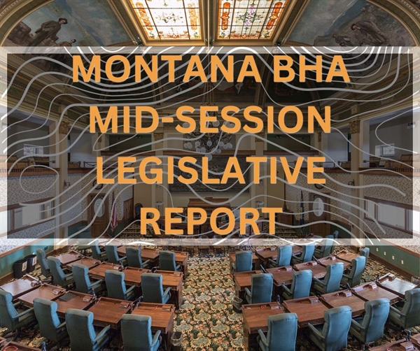 Montana BHA Mid-Session Legislative Report