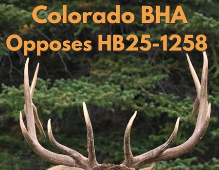 Colorado BHA Statement on HB25-1258, Scientific Management of Wildlife