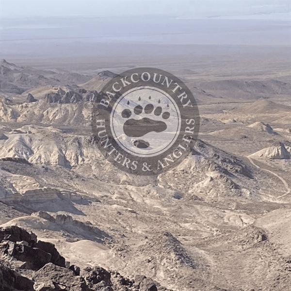 Western State Policy Spotter - March