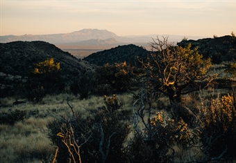 NM BHA Supports SB 291 to Enhance LEO Authority
