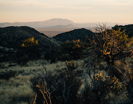 NM BHA Supports SB 291 to Enhance LEO Authority