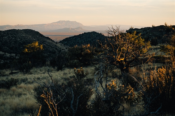 NM BHA Supports SB 291 to Enhance LEO Authority