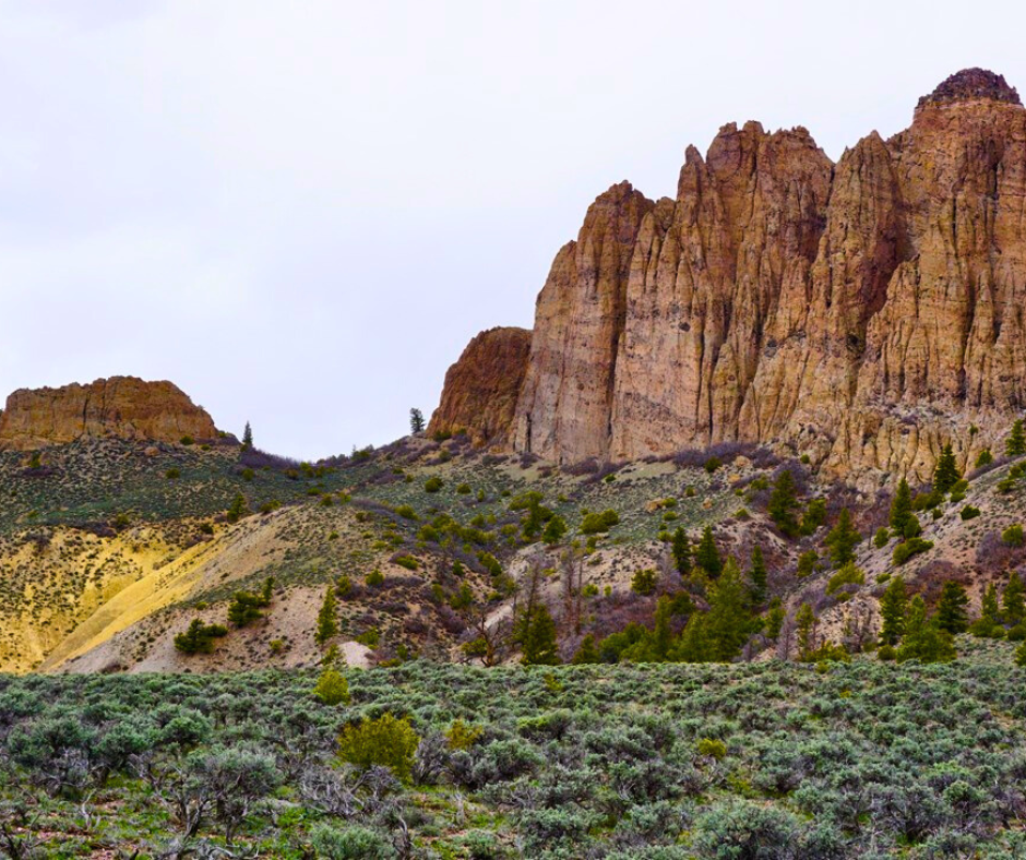 Reintroduction of CORE Act Renews Hope for Conservation of Colorado Public Lands and Wildlife Habitat
