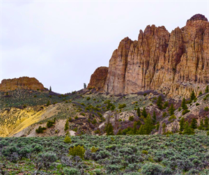 Reintroduction of CORE Act Renews Hope for Conservation of Colorado Public Lands and Wildlife Habitat