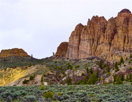 Reintroduction of CORE Act Renews Hope for Conservation of Colorado Public Lands and Wildlife Habitat