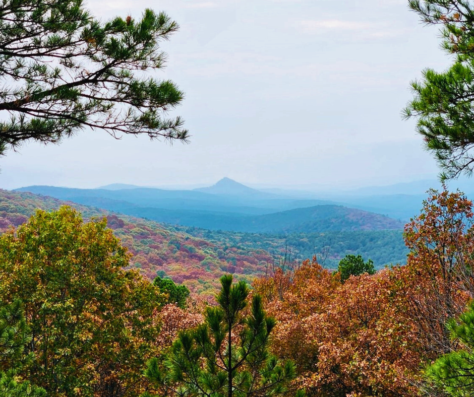 Legislation to Expand Arkansas Wilderness Would Advance Conservation for Generations to Come