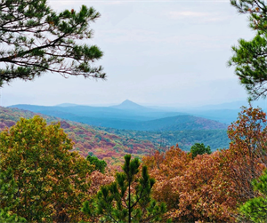 Legislation to Expand Arkansas Wilderness Would Advance Conservation for Generations to Come