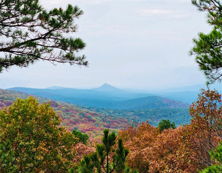 Legislation to Expand Arkansas Wilderness Would Advance Conservation for Generations to Come