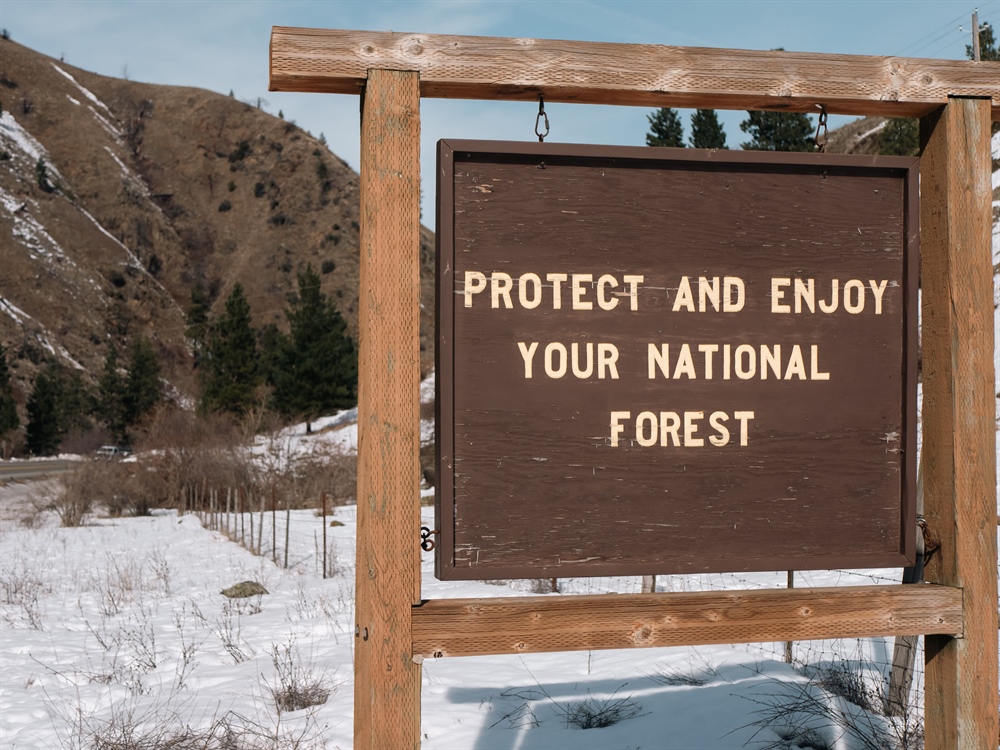 Agency Layoffs Jeopardize Our Public Lands
