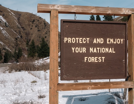 Agency Layoffs Jeopardize Our Public Lands