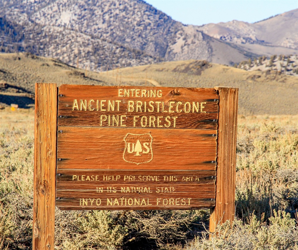 Senate Amendment to Reinstate Staff at DOI, Forest Service Fails