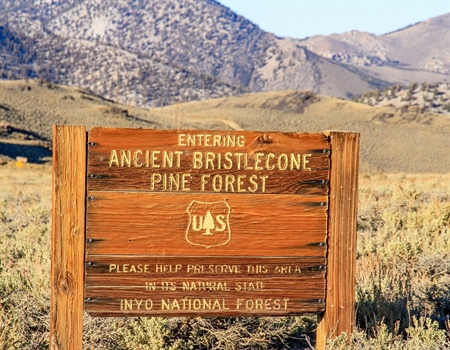 Senate Amendment to Reinstate Staff at DOI, Forest Service Fails