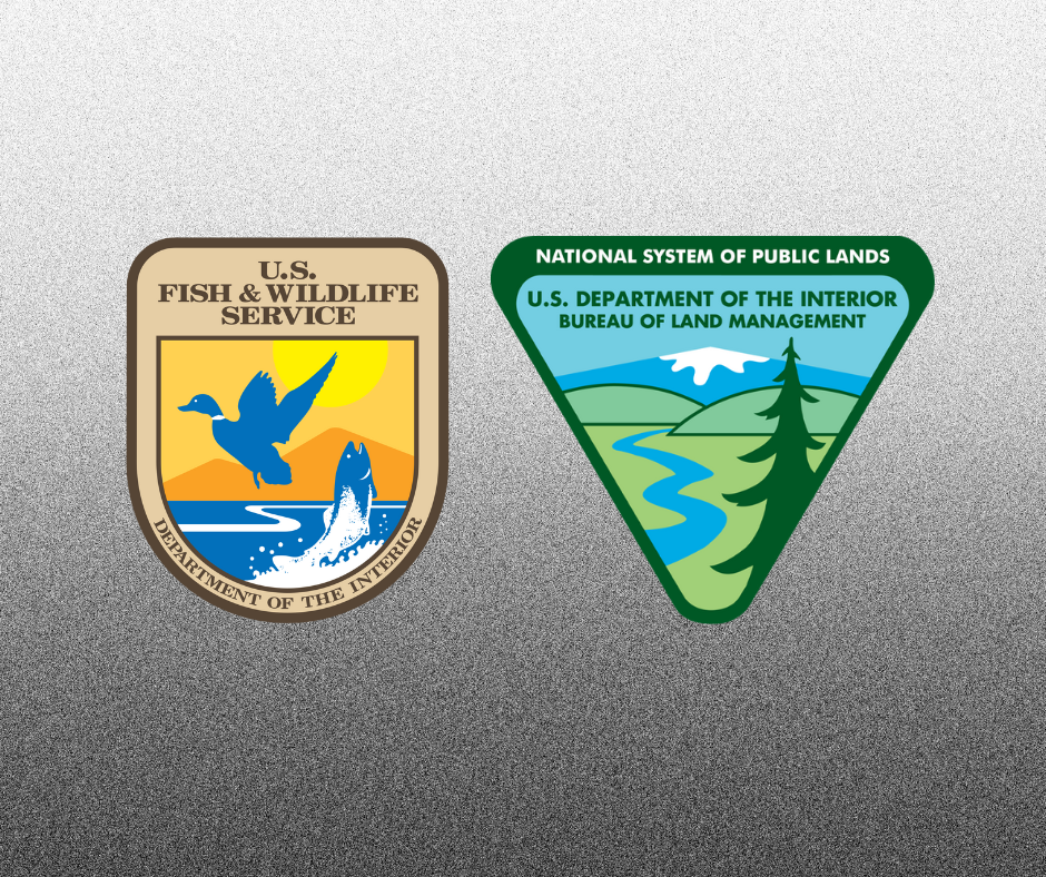 Backcountry Hunters & Anglers Responds to Key Nominations within Interior Department