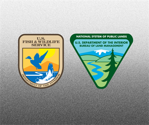 Backcountry Hunters & Anglers Responds to Key Nominations within Interior Department