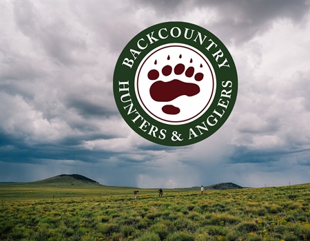 NM BHA January 2025 Newsletter!