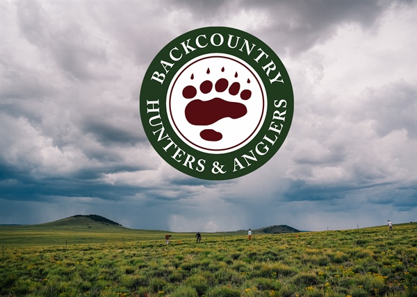 NM BHA January 2025 Newsletter!