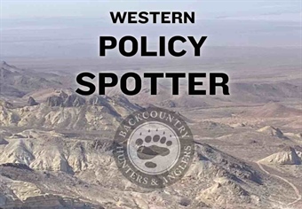 Western State Policy Spotter - First Look
