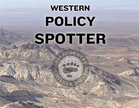 Western State Policy Spotter - First Look