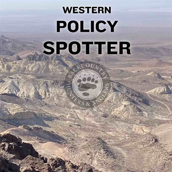 Western State Policy Spotter - First Look