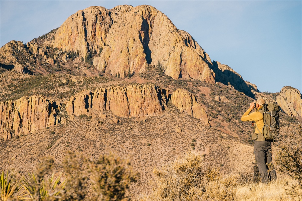 Policy Alert: Senate Bill 5 Gains Momentum in the New Mexico Legislature