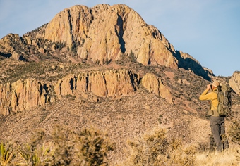 Policy Alert: Senate Bill 5 Gains Momentum in the New Mexico Legislature