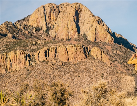 Policy Alert: Senate Bill 5 Gains Momentum in the New Mexico Legislature