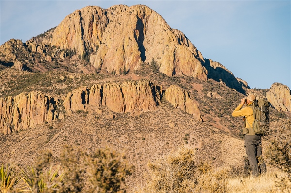 Policy Alert: Senate Bill 5 Gains Momentum in the New Mexico Legislature