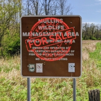 Kentucky - Mullins WMA May be up for Sale