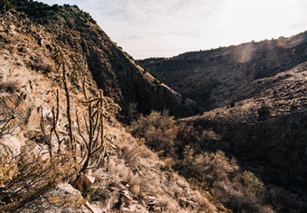 NM BHA Supports Caja del Rio Monument Designation