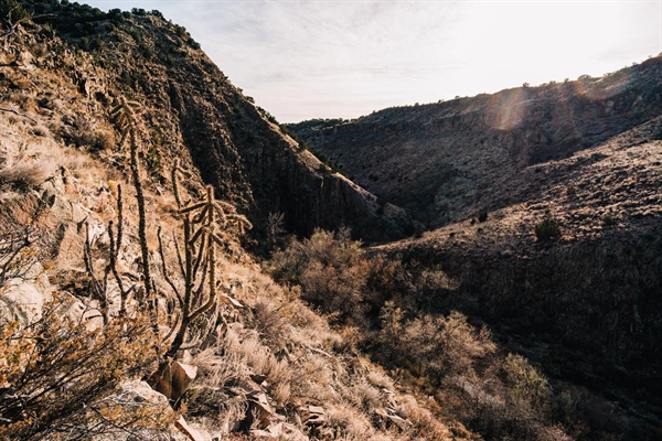 NM BHA Supports Caja del Rio Monument Designation