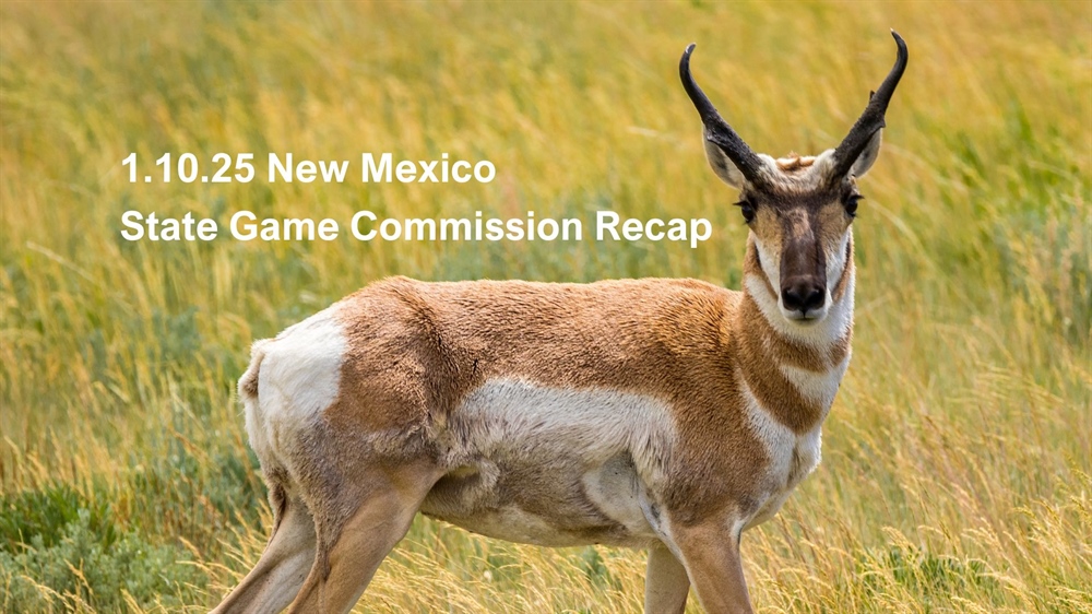 1.10.25 NM State Game Commission Recap