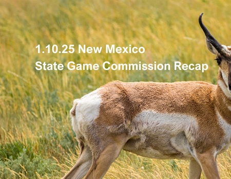 1.10.25 NM State Game Commission Recap
