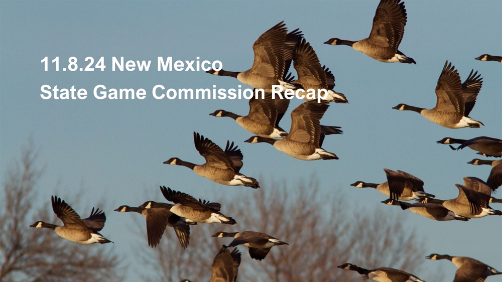 11.8.24 NM State Game Commission Recap