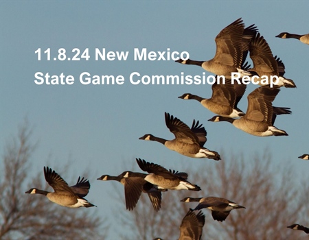 11.8.24 NM State Game Commission Recap