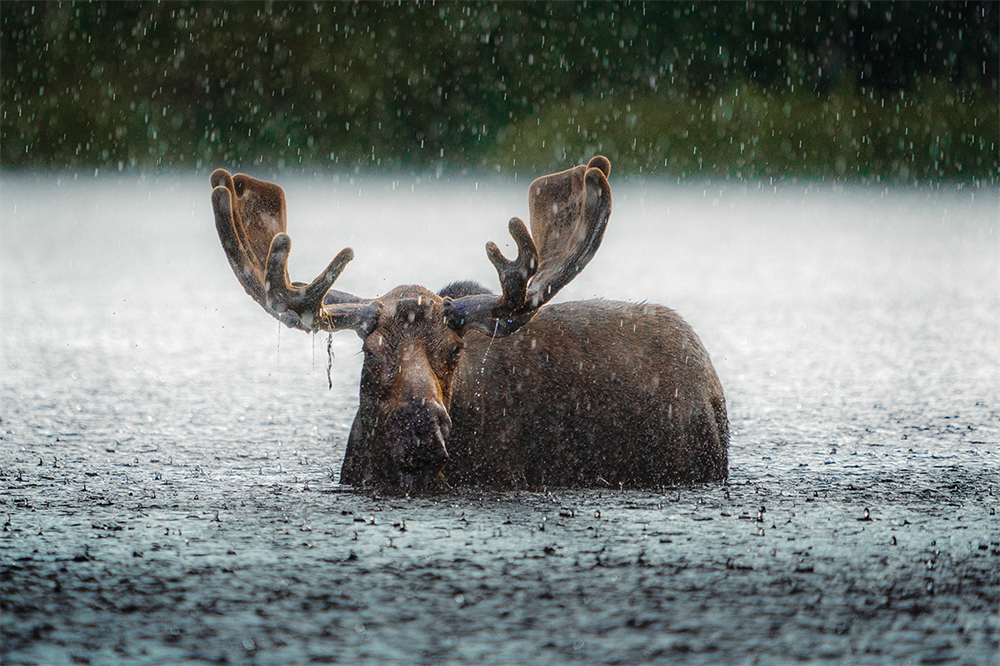 Public Lands & Waters Photo Contest, 2024 Winners