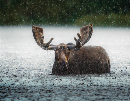 Public Lands & Waters Photo Contest, 2024 Winners