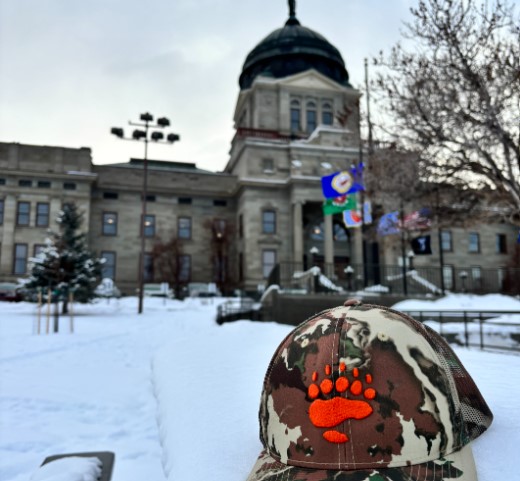 Montana BHA 2025 Winter Newsletter