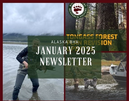 January 2025 Alaska BHA Newsletter