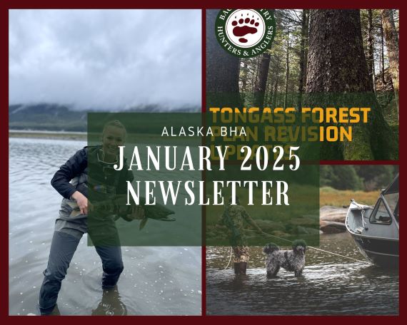 January 2025 Alaska BHA Newsletter