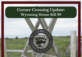 Wyoming BHA Response to House Bill 99