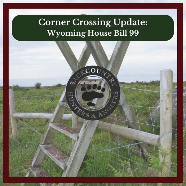 Wyoming BHA Response to House Bill 99