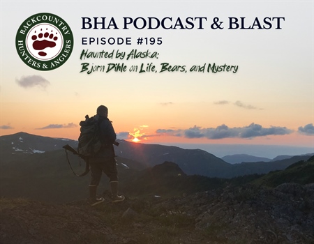 Haunted by Alaska: Bjorn Dihle on Life, Bears, and Mystery (ep. 195)