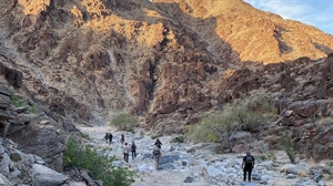 BHA Applauds Chuckwalla Designation Conserving 624,000 Acres of Public Lands