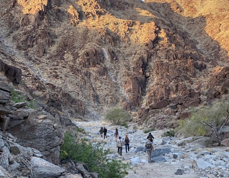 BHA Applauds Chuckwalla Designation Conserving 624,000 Acres of Public Lands