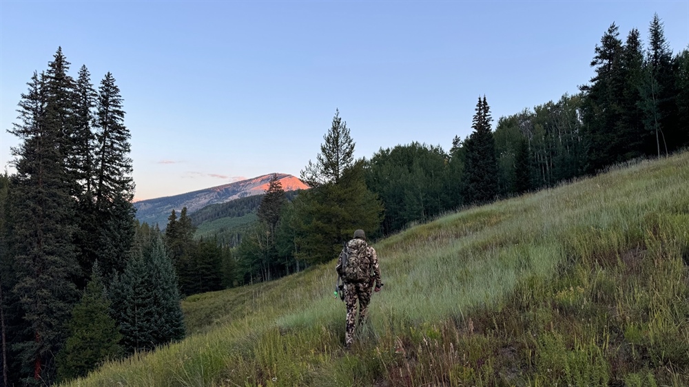 Colorado BHA Winter 2024 Newsletter