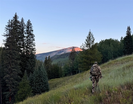 Colorado BHA Winter 2024 Newsletter