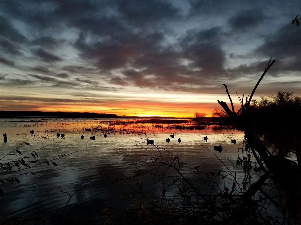 In Final Days, Congress Sends Wildlife and Outdoor Recreation Legislation to President’s Desk