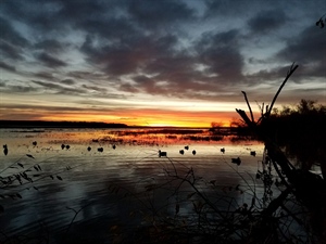 In Final Days, Congress Sends Wildlife and Outdoor Recreation Legislation to President’s Desk