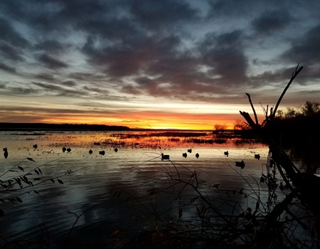 In Final Days, Congress Sends Wildlife and Outdoor Recreation Legislation to President’s Desk