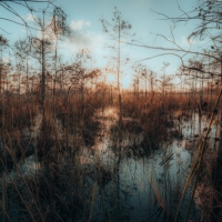 4,000 Acres of Added Public Land in Indiana